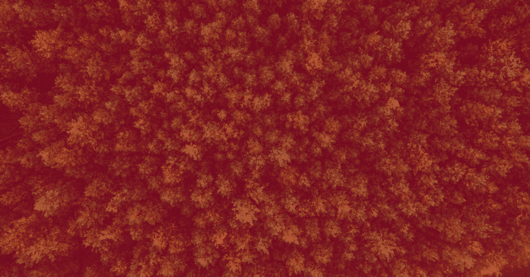 influencer marketing 101: everything to know to get started with influencer marketing