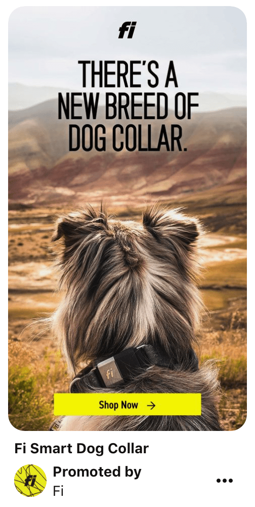 Pinterest video ad example