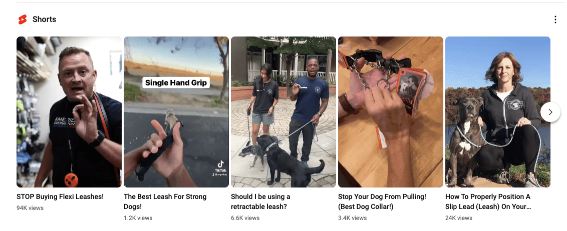 types of video search results on YouTube