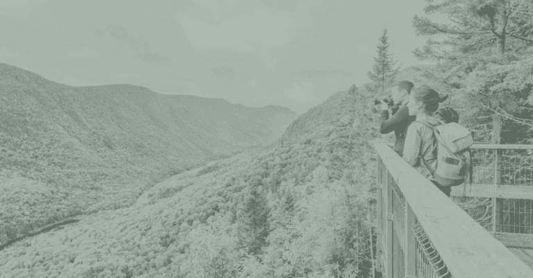 Marketing Strategies to Engage the Gen Z Audience