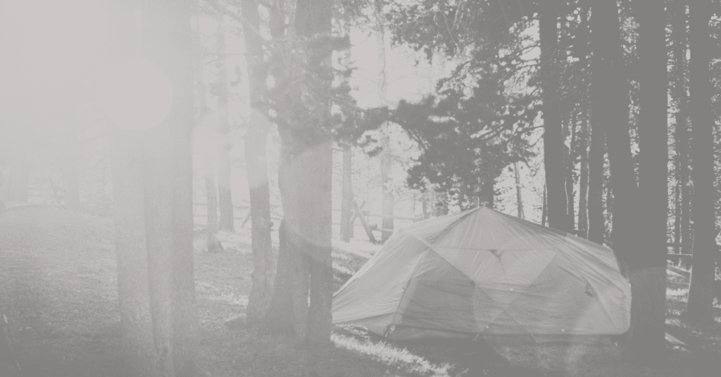 A tent in a forest