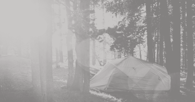 A tent in a forest