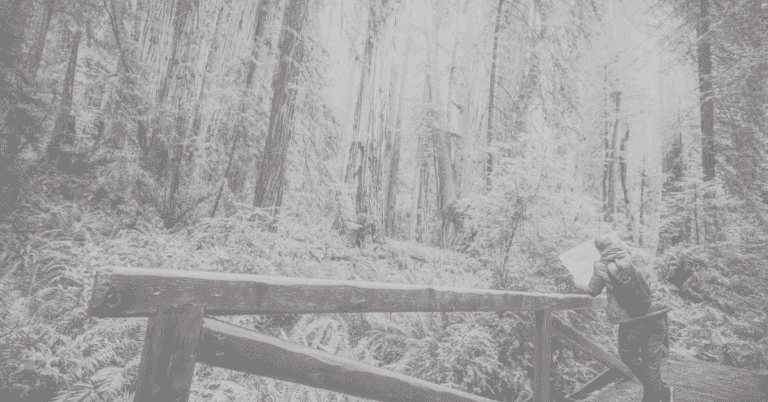 Drive growth with PPC management services