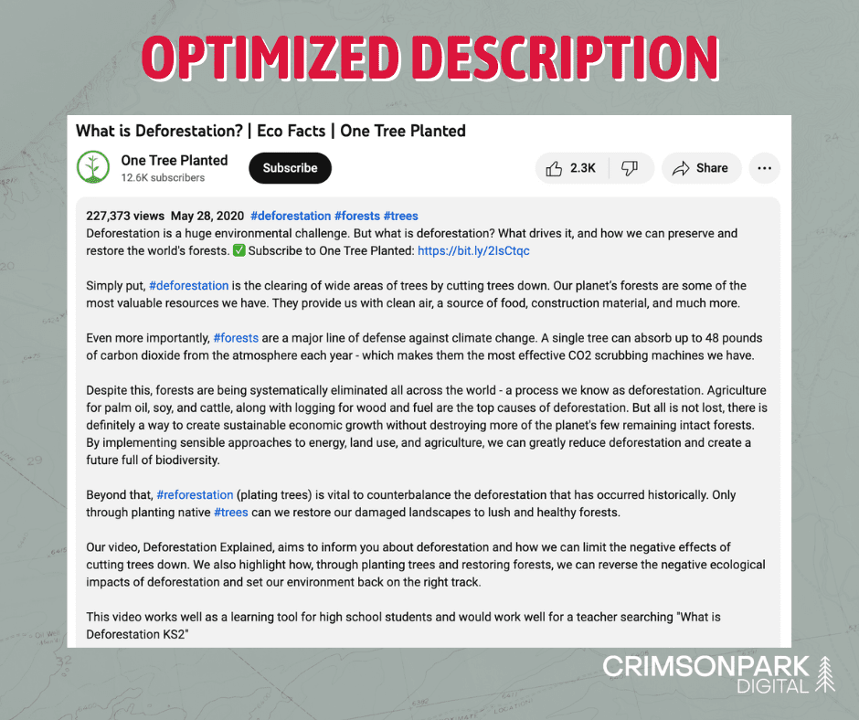 A screenshot of an SEO optimized YouTube video description by One Tree Planted that includes keywords