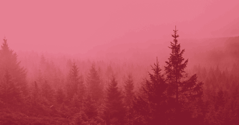 Content Repurposing Techniques That Increase Reach