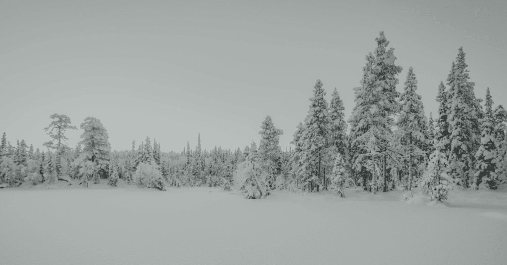 Growing Your Customer Base with SaaS Content Marketing