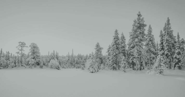 Growing Your Customer Base with SaaS Content Marketing