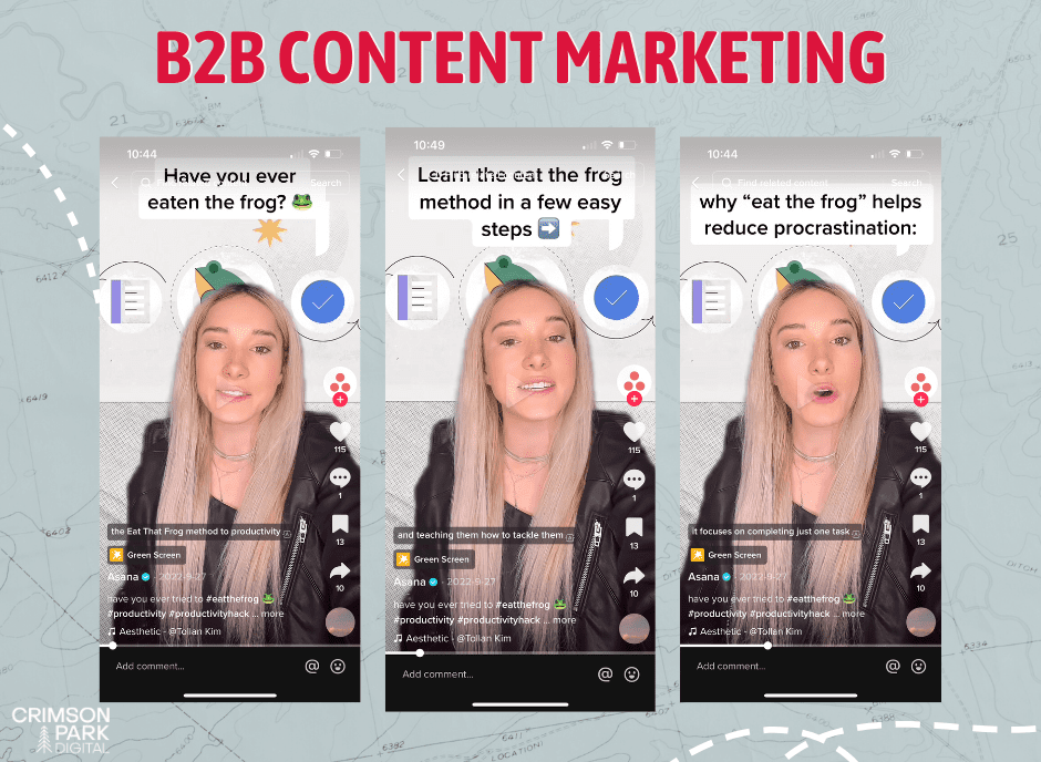 B2B CONTENT MARKETING EXAMPLE FROM TIKTOK