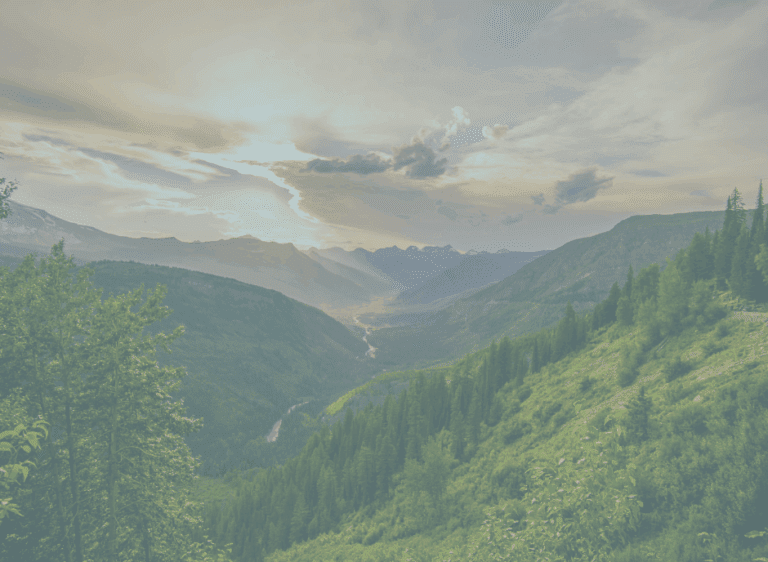 Strategies to Boost Customer Retention and Reduce Churn