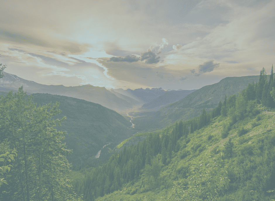 Strategies to Boost Customer Retention and Reduce Churn