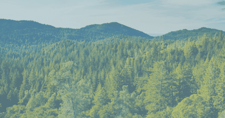 BLOG FEATURED IMAGE (2)