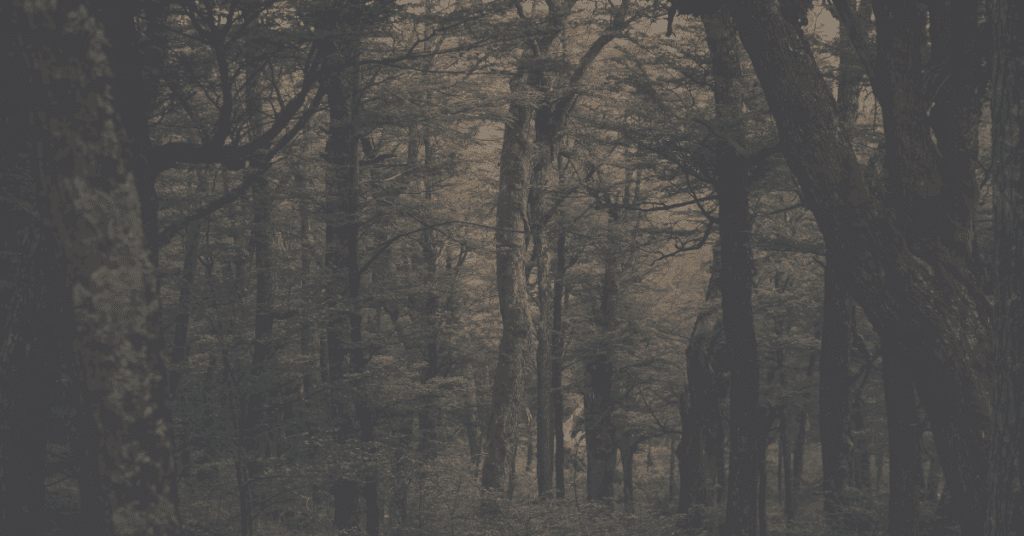 Pros and Cons of Agency Industry Experience