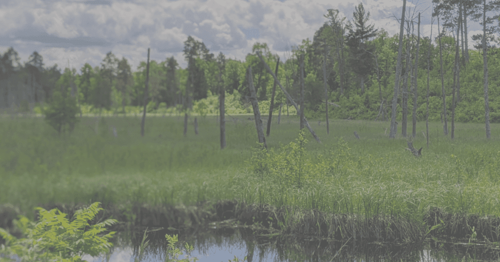 7 reasons to hire a digital marketing agency