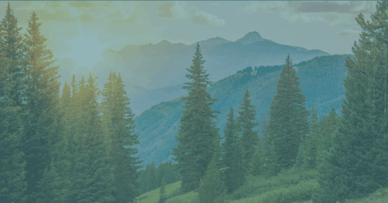 BLOG-FEATURED-IMAGE-8