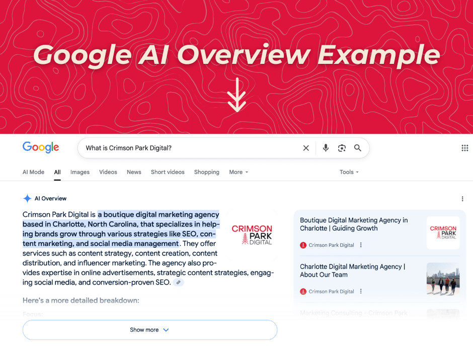 Google AI overview example.