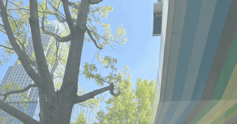 Stretch Your Paid Media Budget with Seasonal Strategies That Work